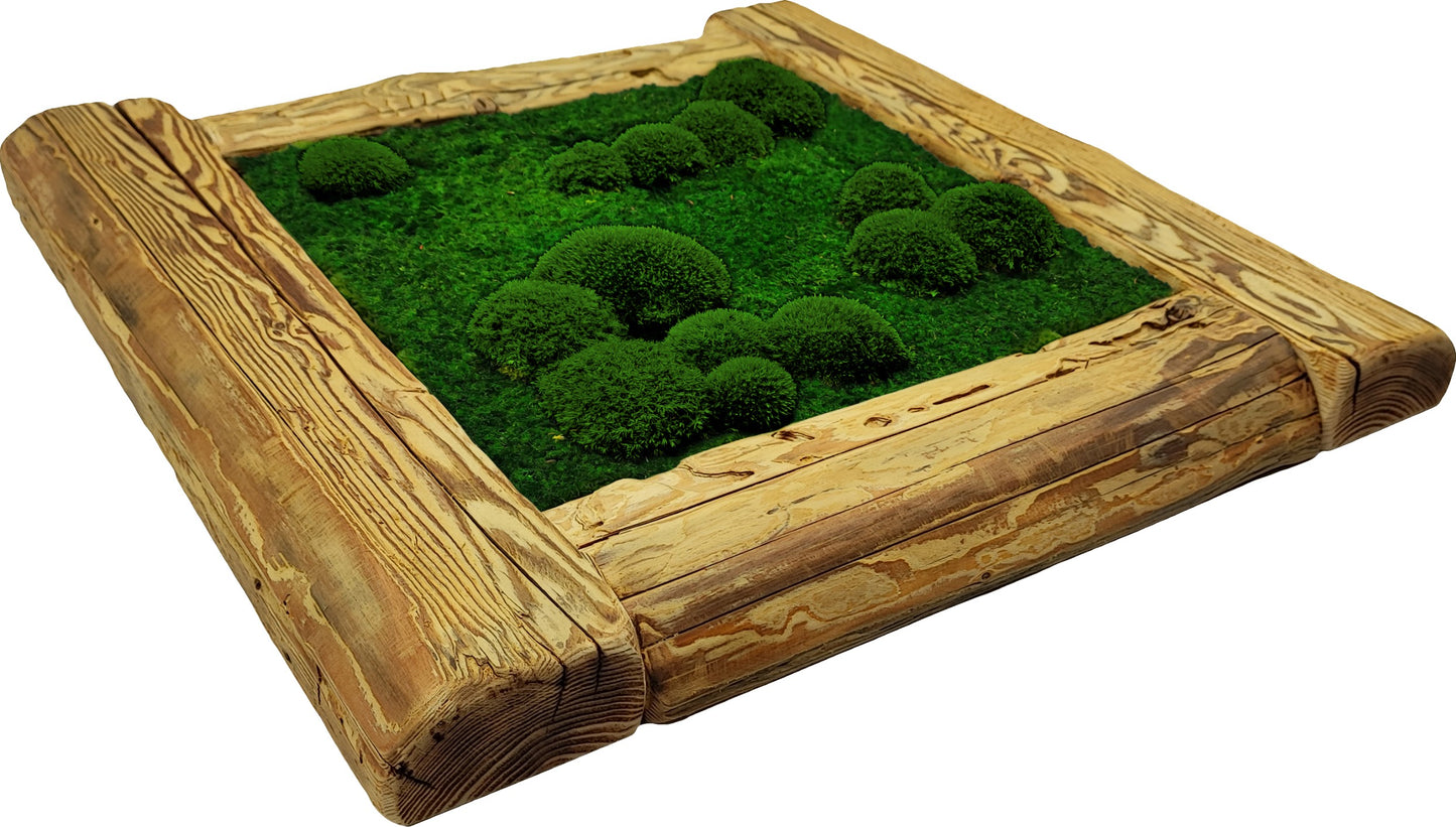 Cuadro de musgo 50x50 cm, combinación de pala verde oscuro y musgo bajo, marco de madera vieja rugosa