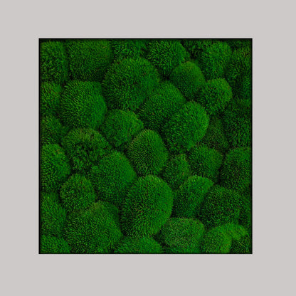Cuadro musgo 50x50 cm, musgo verde oscuro, marco gris rugoso
